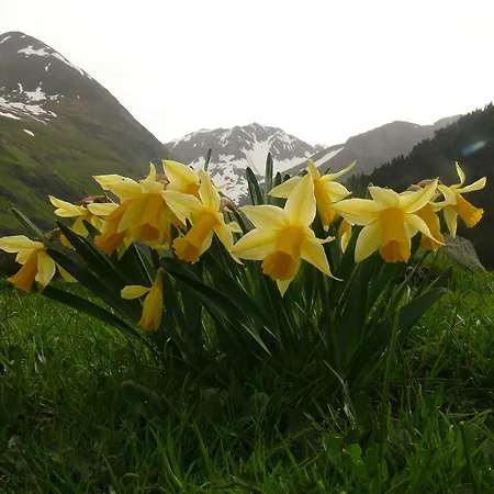 Отель Arcos Аинса-Собрарбе